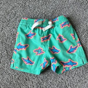 Chubbies Swim Trunks